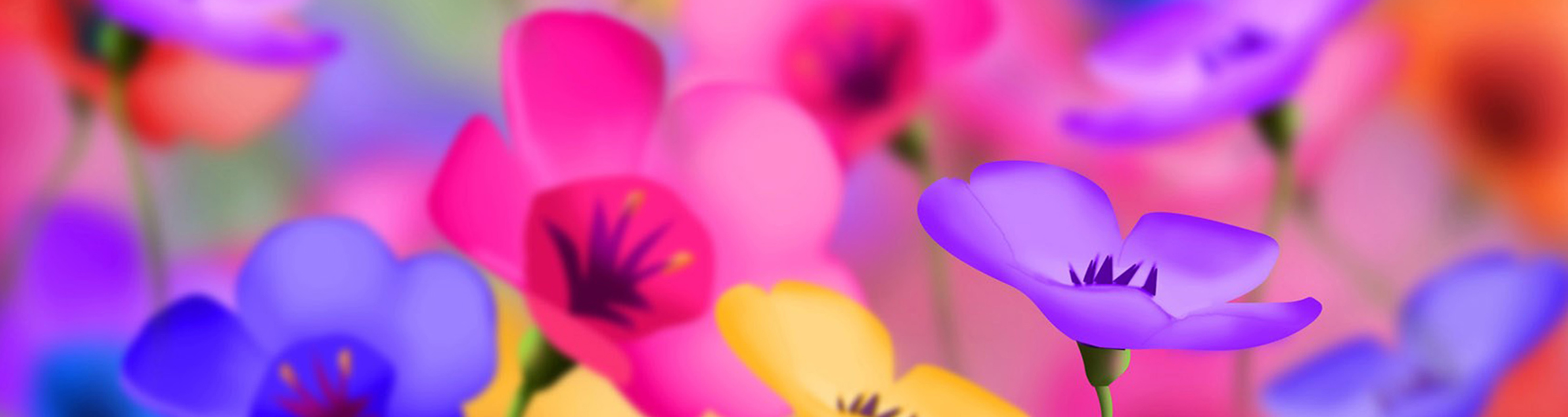 colorful flowers